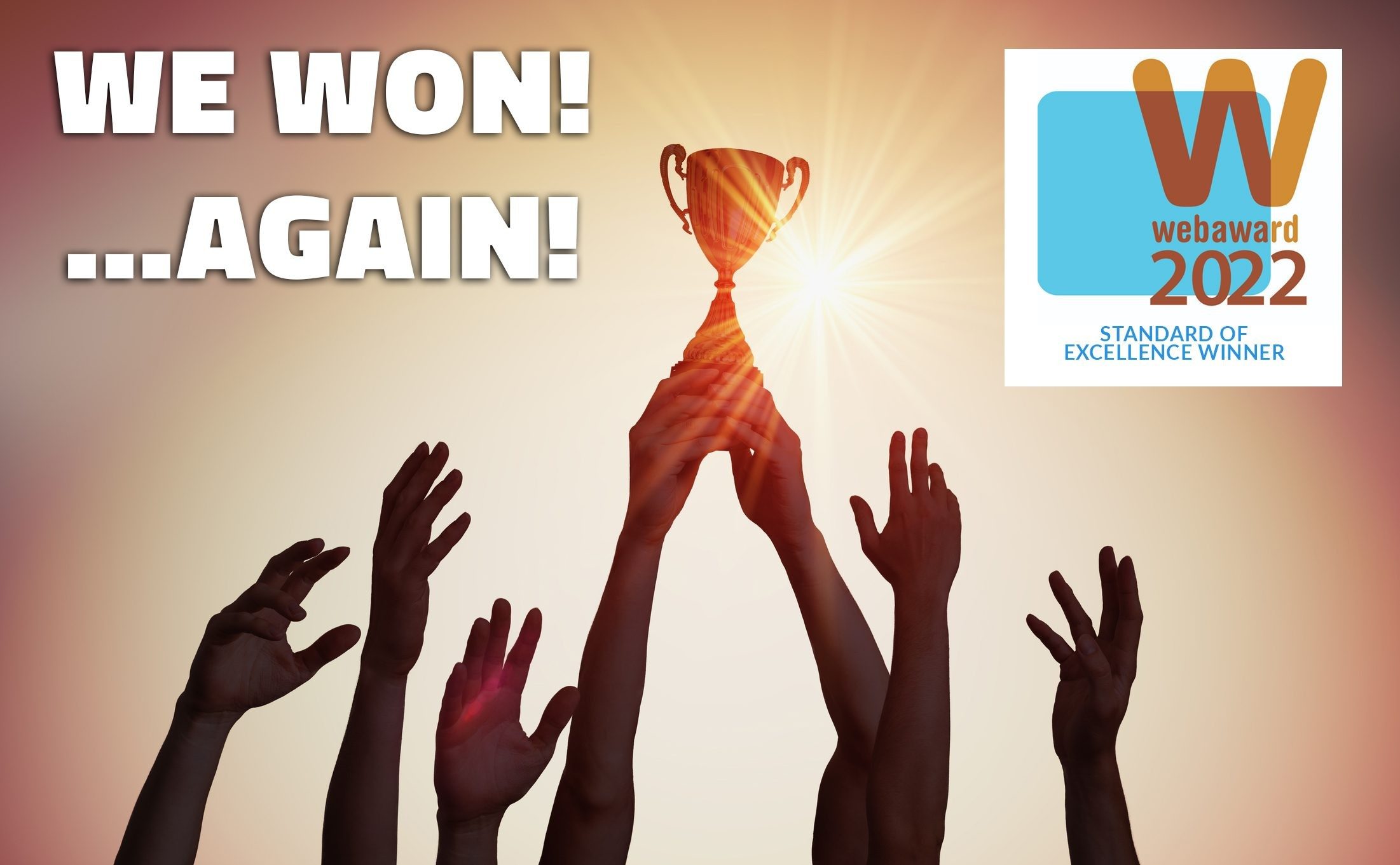 Oops, We Did It Again! Smart WSI Marketing Picks Up Another WMA Award